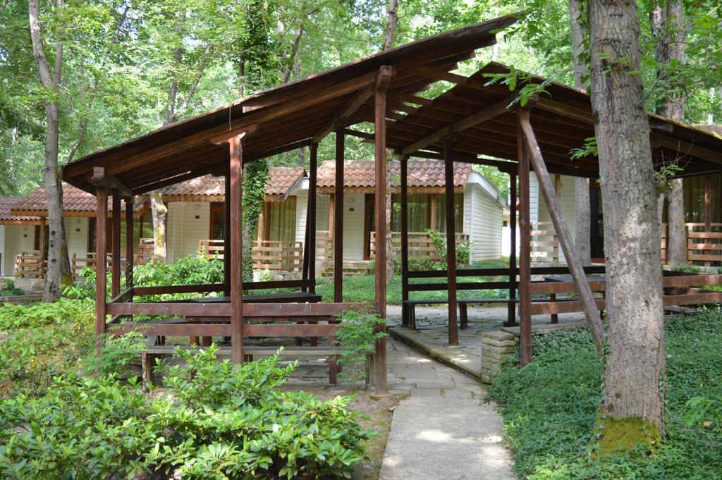 Villas Holidays Primorsko Buitenkant foto